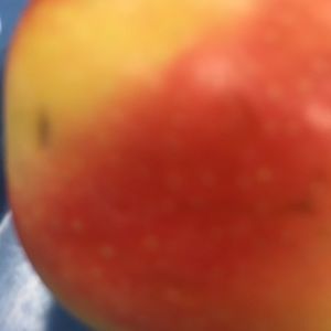 Meet your Posher, Brixi